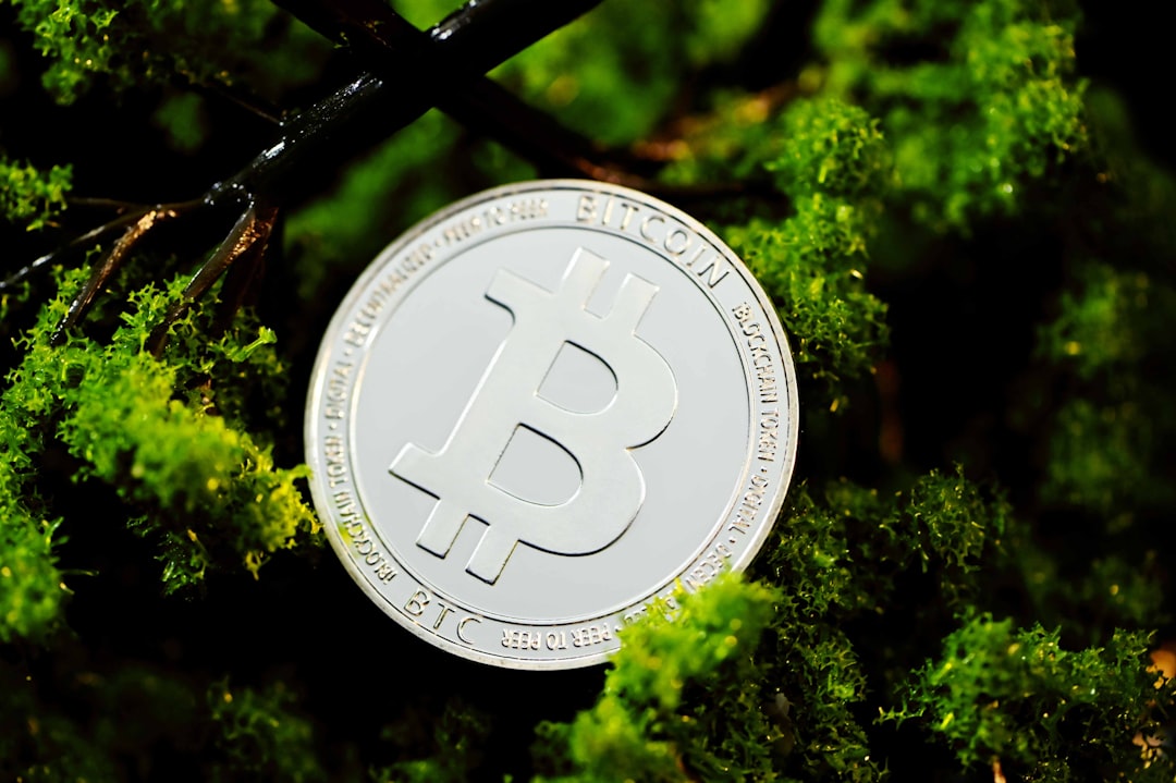 **Экранированное голосование в DAO: защита приватности и демократия в крипто-мирe**