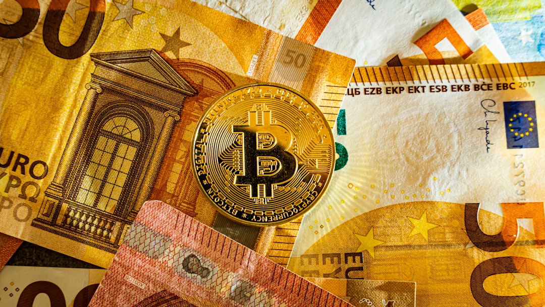 Digital Euro Privacy: Balancing Innovation and Anonymity