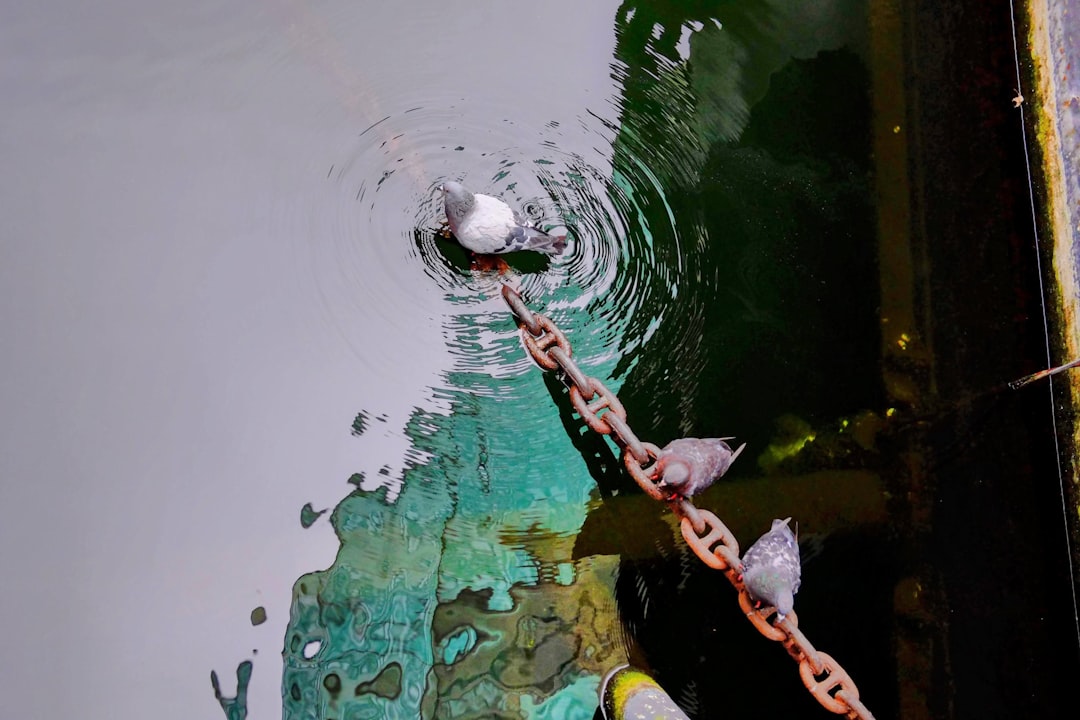 How to Safely Process Toxic Crypto Dump: A Privacy Guide