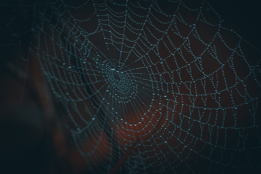 Invisible Transaction Networks: The Future of Private Cryptocurrency