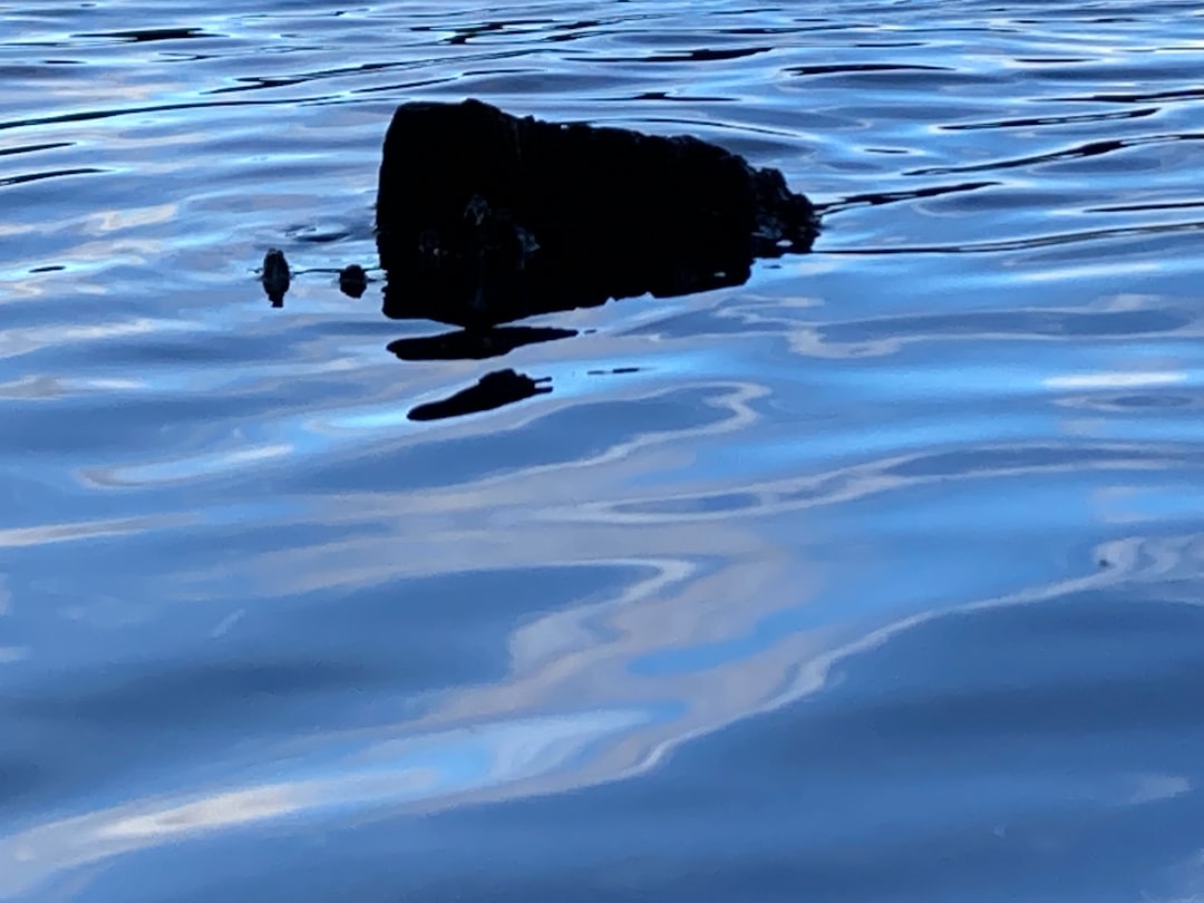 Lightning Network Reverse Submarine: Boosting Crypto Privacy