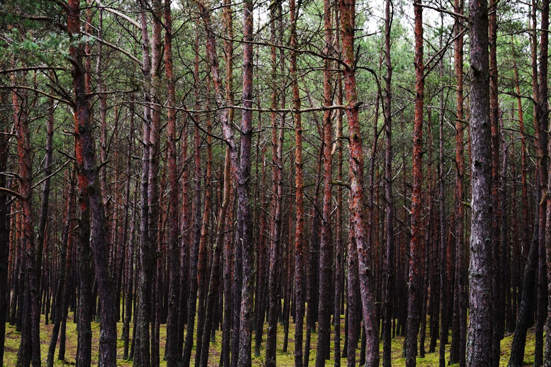 Merkle Tree Deposits: Boosting Crypto Privacy & Security