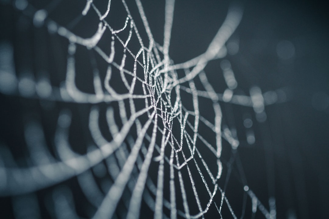 Nym Privacy Network: Revolutionizing Blockchain Anonymity in 2024