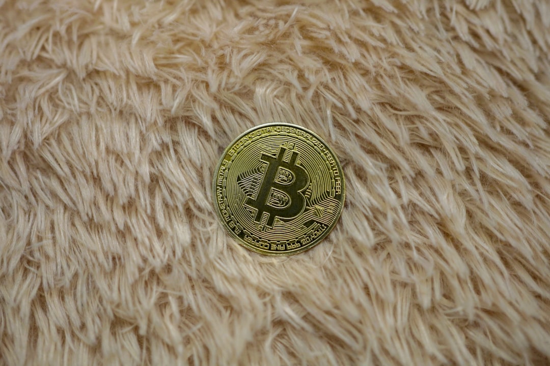 **Opendime: Флешка-кошелек для биткоинов, которая защищает вашу приватность**