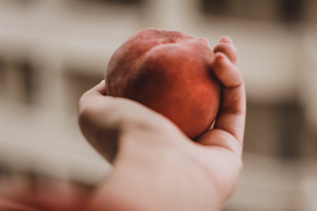 Peach Bitcoin P2P Installation Guide for Privacy Enthusiasts