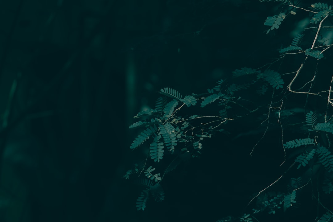 Мост цепочки ретранслятора: как защитить криптовалютные транзакции