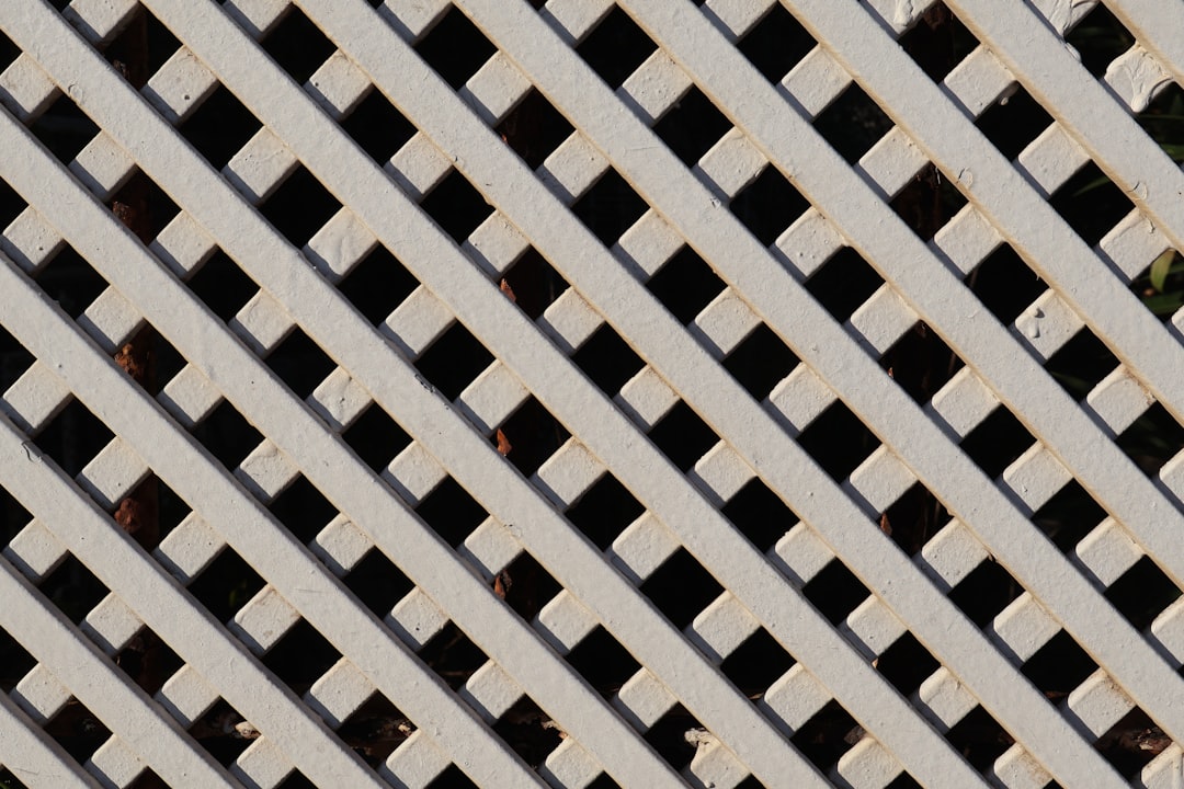 Защита отпечатка браузера: как сохранить анонимность в сети