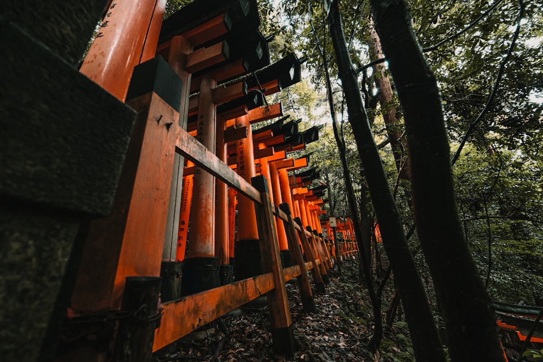 Samourai Stowaway PayJoin: Enhancing Bitcoin Privacy