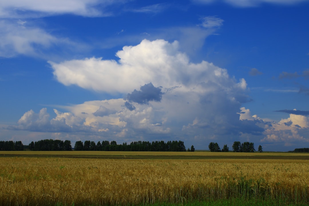 Securing Your Digital Future: The Power of Encrypted Cloud Storage for Crypto Enthusiasts