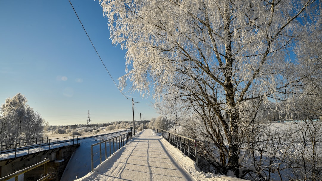 Snowflake Bridge Tor: Boosting Crypto Privacy with Tor Network Anonymity