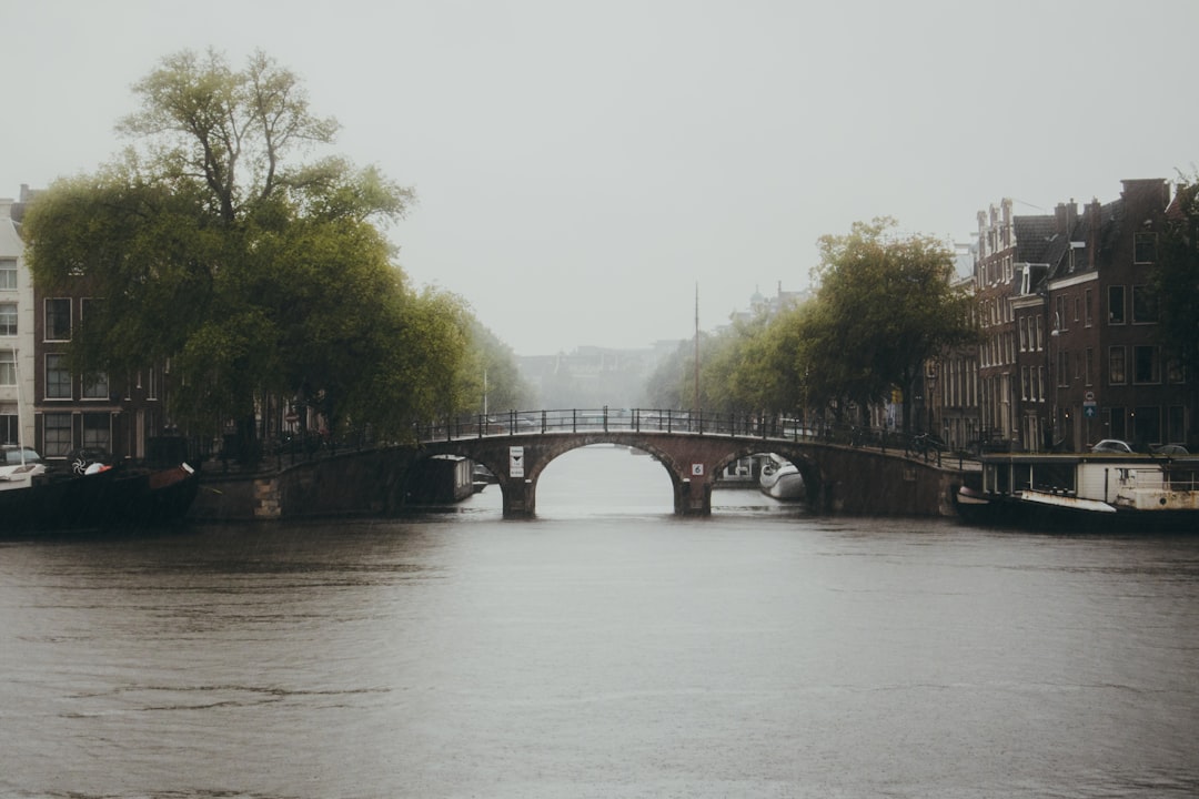 **Title:** Incognito Wallet Bridge: Your Guide to Secure Crypto Transfers