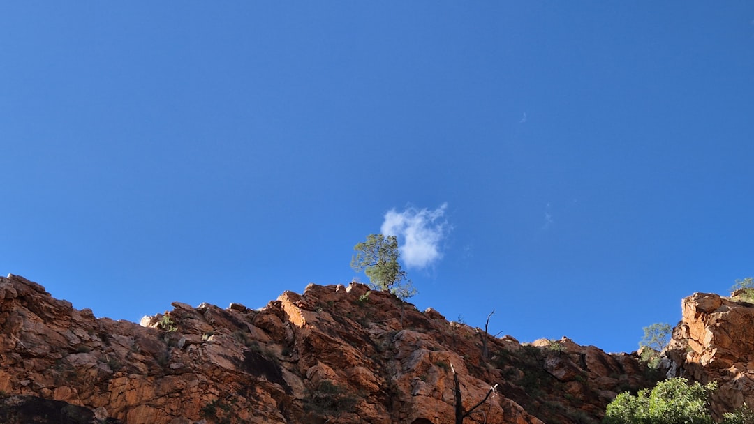 Tor Mixer Commissions Explained: Fees, Tips & Best Practices