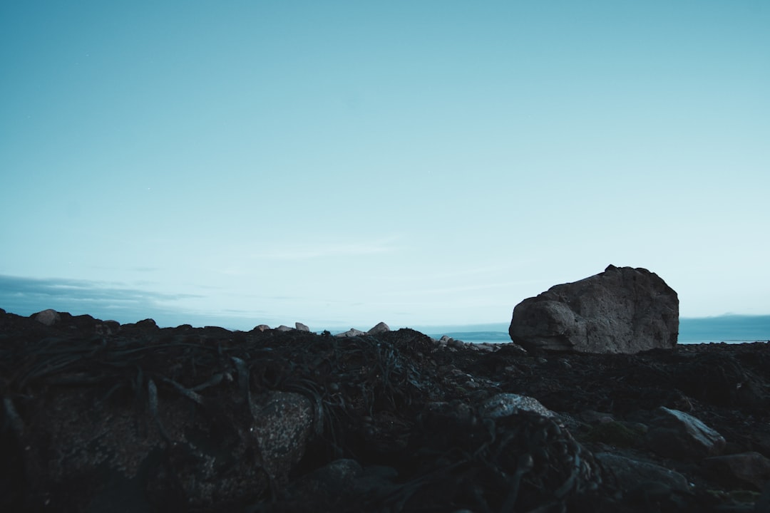 Tor Mixer Verification Guide: How to Avoid Crypto Mixing Scams