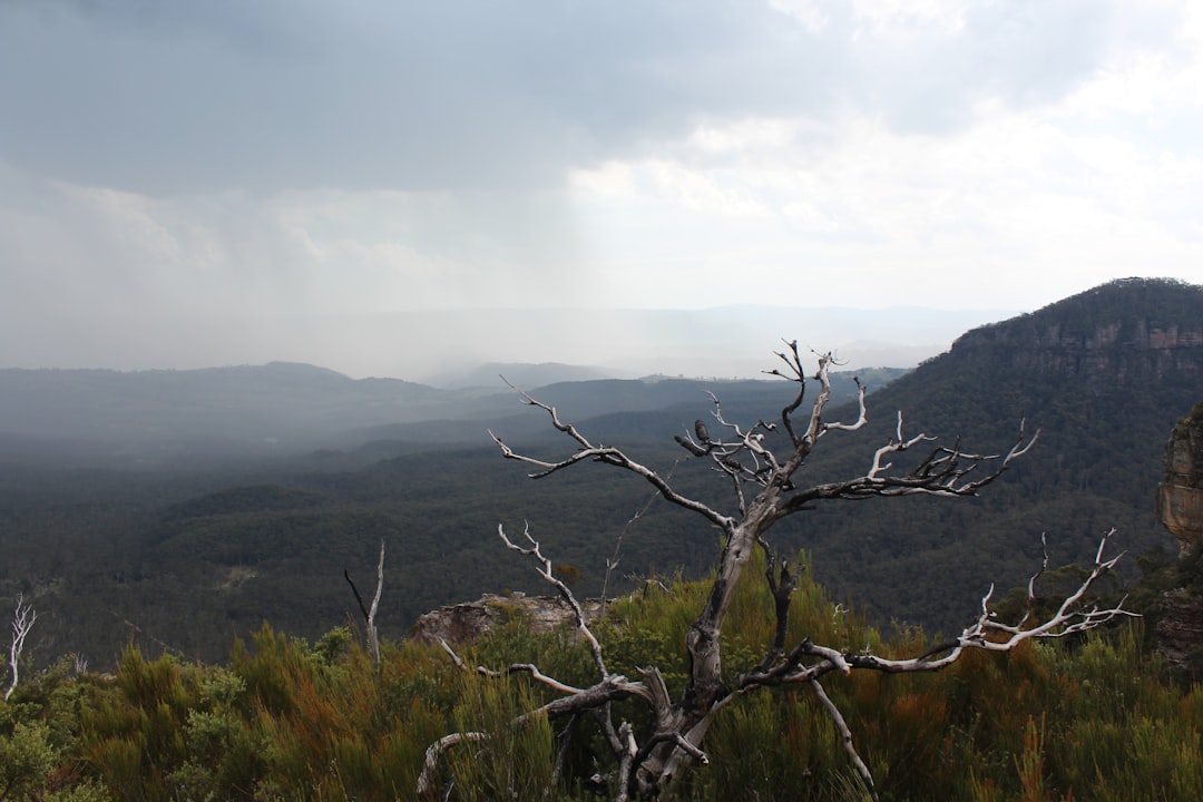 Tor Mixers Explained: Can They Truly Protect Your Crypto Privacy?