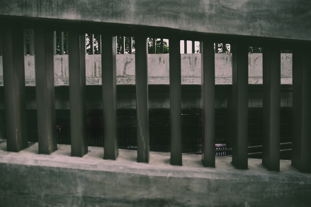 Understanding Ark Protocol: The Future of Cryptocurrency Privacy