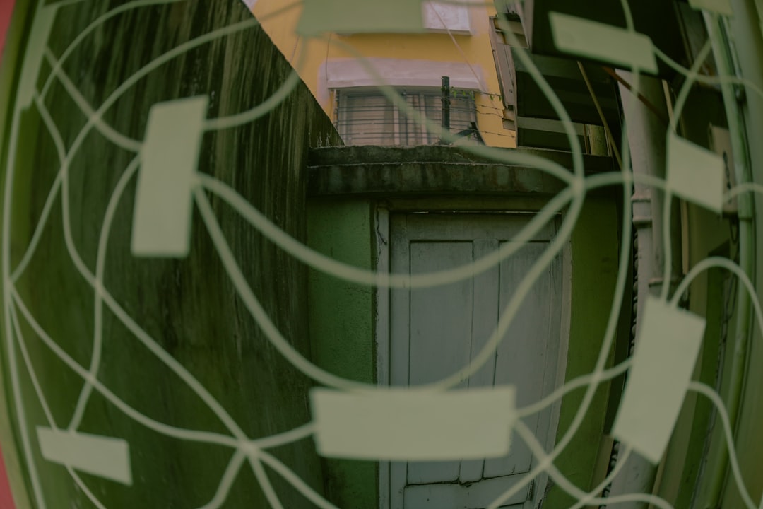 Understanding Mesh Network Services for Cryptocurrency Privacy