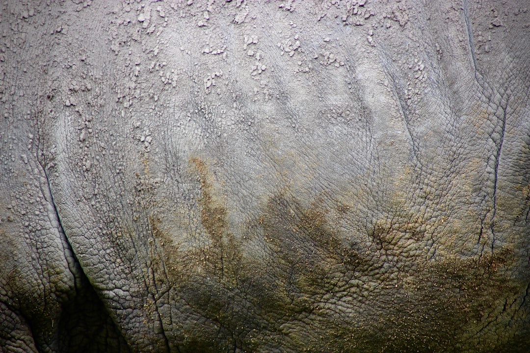 Understanding Ring Signature Size in Cryptocurrency Privacy