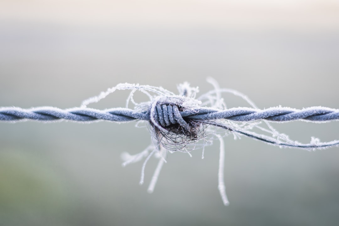 Understanding Tor Guard Nodes: Enhancing Cryptocurrency Privacy